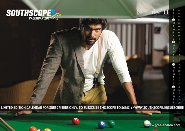 Southscope Calendar 2011 (12)