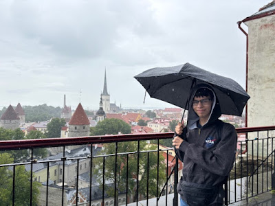 View from Tallinn viewpoint in the rain