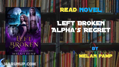 Read Left Broken Alpha's Regret Novel Full Episode