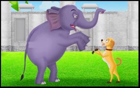 Elephant And Dog Story