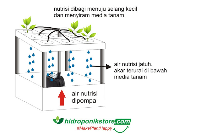 Membuat Aeroponik Sederhana Untuk Tanaman Cabe