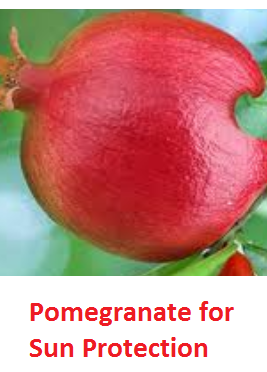 Health Benefits of Pomegranate Fruit (anar fruit) juice - Pomegranate for Sun Protection