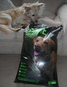 . when the postman delivered a huge bag of More Dog Food for the Madhouse . (more dog food )