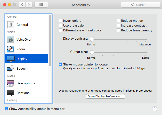 5 Display option of Accessibility Preference Pane