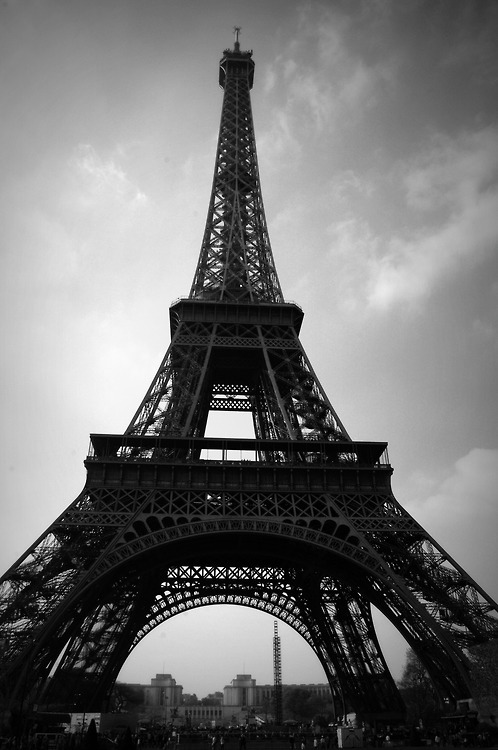 Paris: Paris Eiffel Tower Black And White