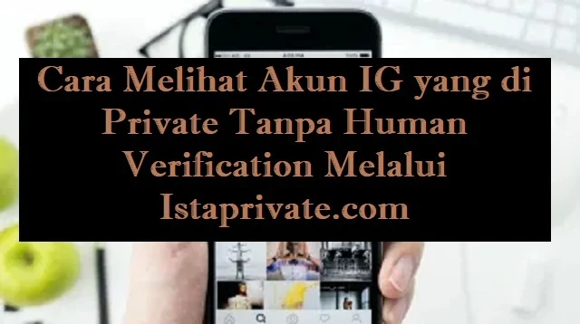 Cara Melihat Akun IG yang di Private Tanpa Human Verification