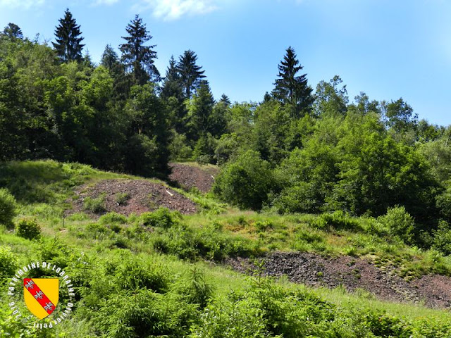 LE THILLOT (88) - Les Hautes Mynes