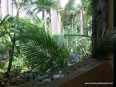 open-air view from loo at Hunte's Gardens in Barbados