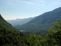 Bogastvo bohinjskih gozdov