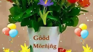WishKingo-Good Morning Pictures for whatsapp,WishKingo