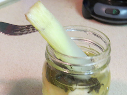 zucchini pickles