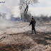 Massive blaze threatens Battambang bird sanctuary