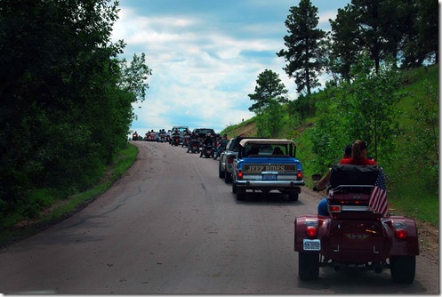 Buffalo Road Block