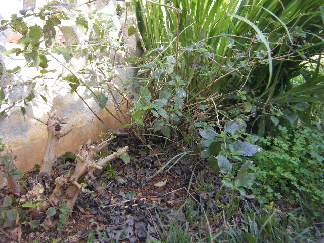 2010_02140006.JPG
