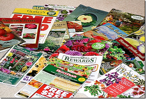Catalogs_Spring