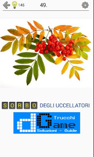 Soluzioni Frutti, verdure e noce livello 49