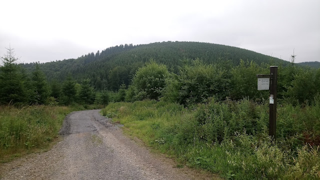 Sauerland wandern Wetter blog Schmallenberg Lennestadt Saalhauser Berge X18 Christine-Koch-Weg