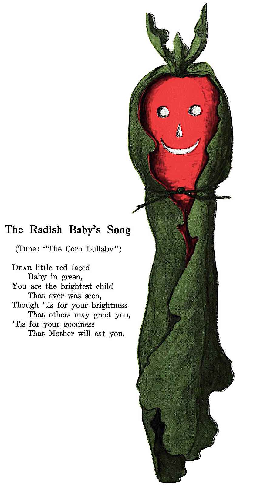 a 1906 home made Radish Baby toy