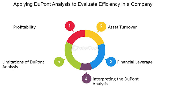 Evaluation of Financial Performance in Technology Companies Using the DuPont Analysis Method. 