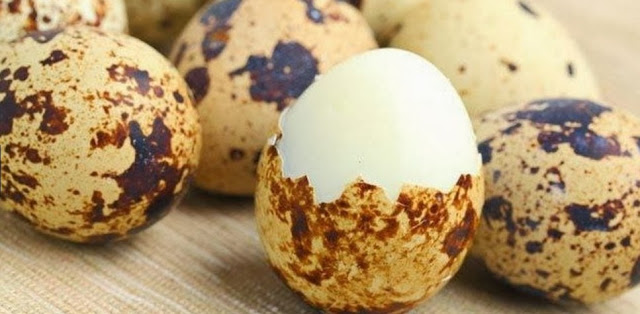 3 Manfaat Makan Telur Puyuh, Si Telur Imut yang Punya Segudang Nutrisi