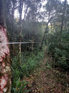 Grenzverlauf durch Schnur markiert