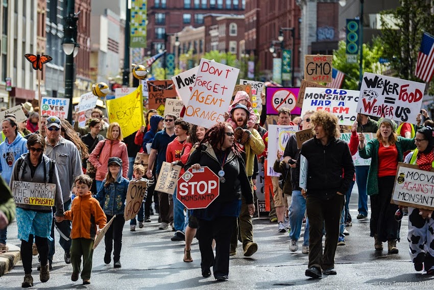 Portland, Maine Monument Square May 2014 March Against Monsanto Rally photo by Corey Templeton 