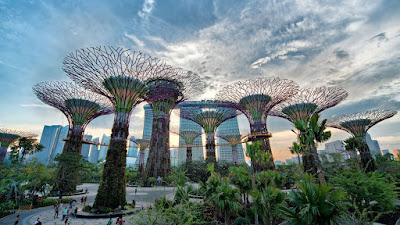 بالصور.. تصاميم معمارية «فريدة» - حدائق الخليج  سنغافورة -Gardens by the Bay