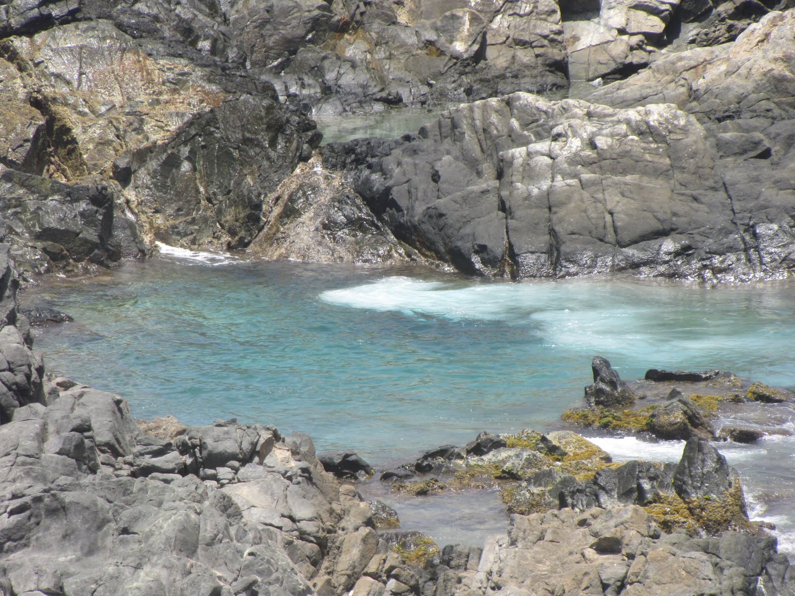 natural pool