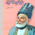 Sharah Diwan-e-Ghalib, Nasir Dehlvi, Poetry, شرح دیوان غالب, ناصر دہلوی, شاعری, 