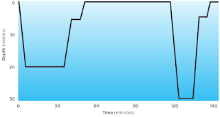 Reverse Diving Profiles