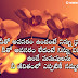 New Inspiring Life Quotations in Telugu