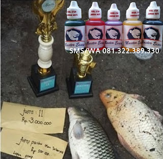 Essen Oplosan Untuk Indukan Ikan Mas