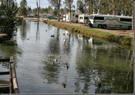 Wilderness Lakes