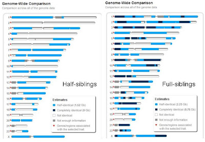 half-sibling vs. full sibling graphic