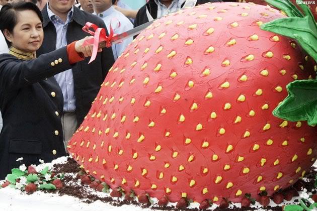 Go Philippines Largest Fruit Shortcake In The World