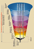 Wachstum des Universums in Kelchform Blütenform