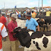 Feiras agropecuárias e vaquejadas liberadas em Pernambuco