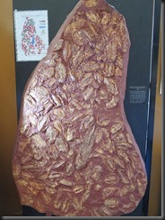 171109 110 Canowindra The Age of Fishes Museum