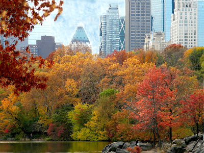Fall Autumn colors clip art