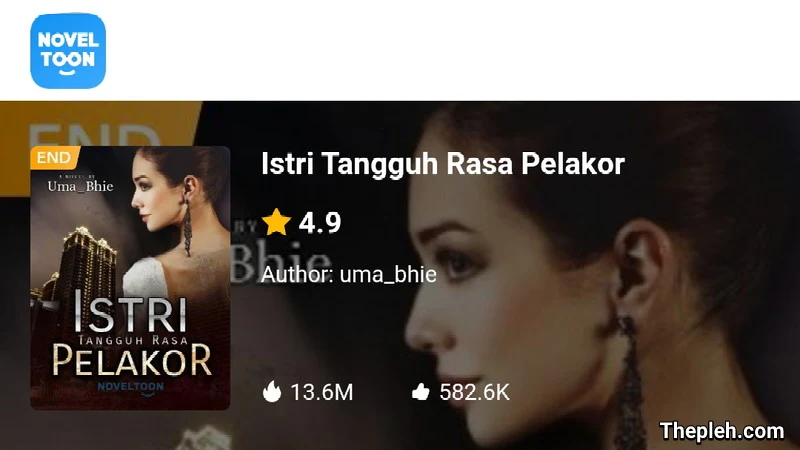 Novel Istri Tangguh Rasa Pelakor Gratis