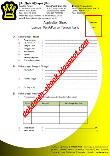 Contoh Formulir Lamaran Kerja 2