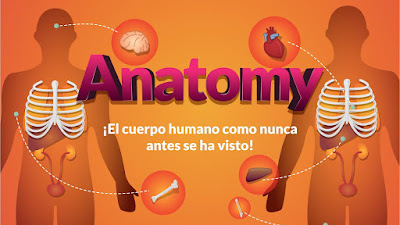 “Anatomy: El Cuerpo Humano”: una app para aprender anatomía