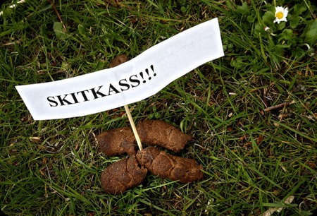 skitkass