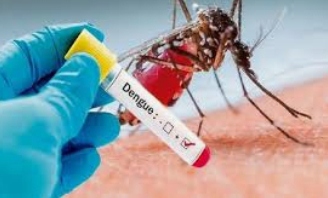 भोपाल समाचार: डेंगू के लार्वा और मलेरिया की जांच का सर्वे जारी