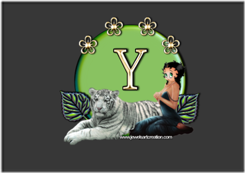 Y