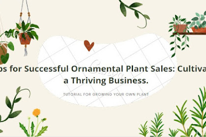  Tips for Successful Ornamental Plant Sales: Cultivating a Thriving Business.