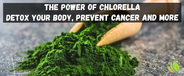 The Power of Chlorella Detox your body, Prevent Cancer and More