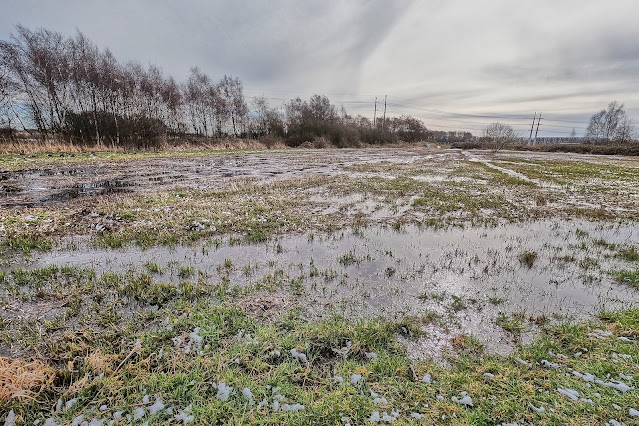 Spaarnwoude, iets ten oosten van Haarlem 5