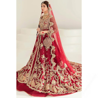 Bridal Dress Designs | Top 10 Bridal Lehenga Designs