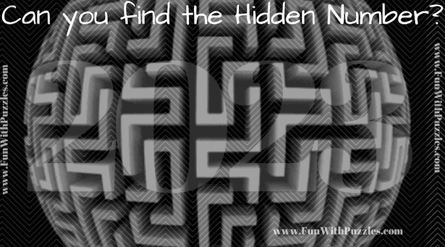 Hidden Numbers Eye Test Puzzles: What Number Do You See? - 3